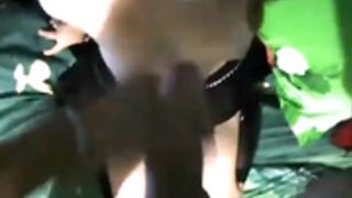 royallove cum