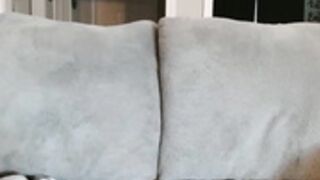 alannarack 2025-02-03 17#16-001