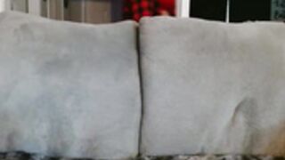 alannarack 2025-02-03 17#16-002