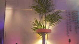 MFC_AcaiBerry_June-29-2024_06-09-02