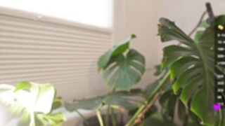 simona_simona 2025-02-10 22#53-004