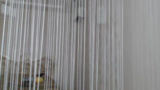 Yana Chala Odessa Ukraine long, tits, full nude, lush