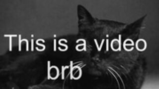 sunshine13__2025-02-18_18-10-42_350