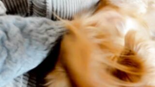 x_lily_x 2025-02-16 03#23-001