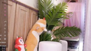 Sunny_Sonnie 25.02.19 014