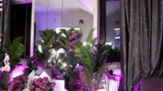 CB - serene_sophiex 221