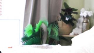Oki_Dokie 25.02.24 002