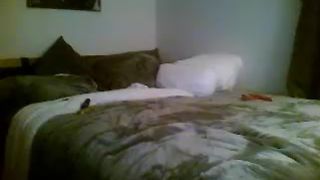 Xxxlizndavexxx cam recording 2015 October 31-12.18