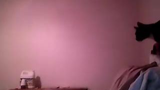 Kittenpits cam recording 2015 November 12-08.10