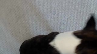 Arielwaters cam recording 2015 November 07-23.49