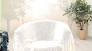 sunshine13__2025-02-25_15-48-54_594