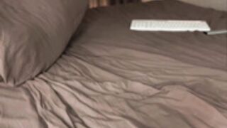 tenderiris 2025_02_26 - 2