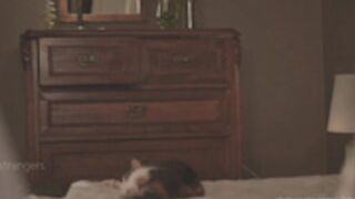 _2strangers_2025-03-02_23-51-04_798