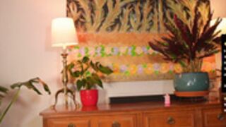 simona_simona 2025-02-27 21#14-001