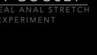 Mary Campbell Spencer anal