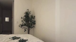 MissAustralia Saint Patrick's Day 17 Marzo 2025