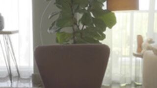 emma_lu1 2025_03_07 - 1