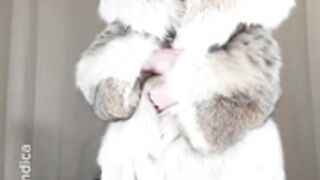 Fur pleasure