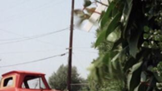 Beneath the Valley of the Ultra-Vixens