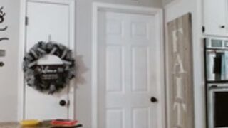 alannarack 2025-03-17_16-47-06