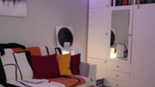 _blackbee_ 2025-03-24_12-25-59-003