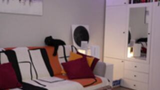 _blackbee_ 2025-03-20_12-45-03-003