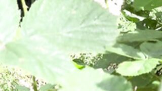 21sweetsunny - Blowjob in the garden