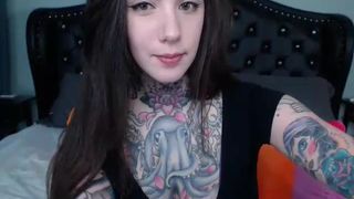 harliequinnx - 170210