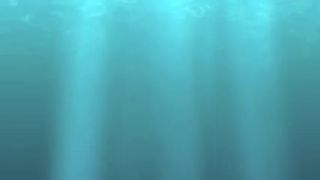 Bubletea shower in true privade