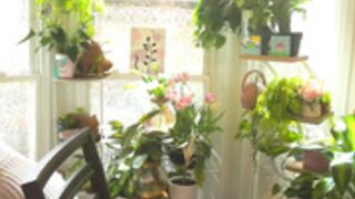 GoldenGoddessXXX 25.03.19 001