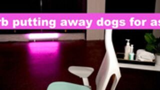 Amouranth 24.04.13 003