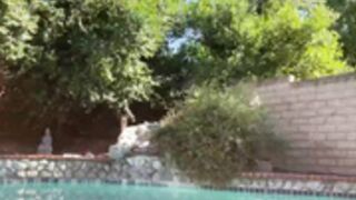 LiannaMichelle 24.05.01 014