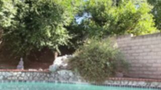 LiannaMichelle 24.05.01 009