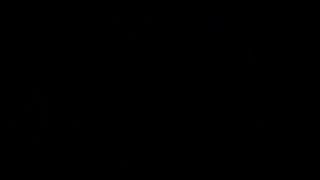 Miss Noir trailer solo privat