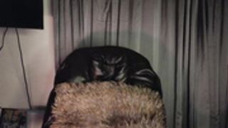 emma_johnson_ 2025-04-04_05-35-04-002