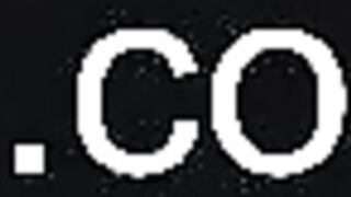 ocicat 2025-03-31_08-26-47-005
