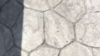 Danielaoviedo_16 follada in the pool