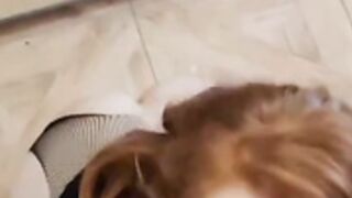 Iara mi 2
