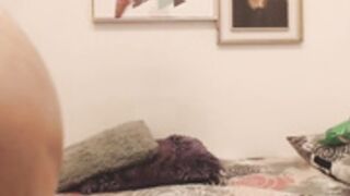 Stefaagomez 8