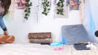 Mollyflwers 393