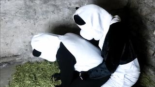 Panda Porn Video For Charity - CamWhoresTV.PremiumVideo