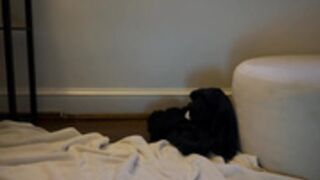 ellaa91 - Pure beauty masturbating