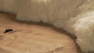 a_whole_eternity 2025-02-18