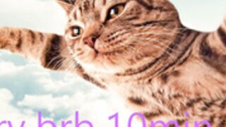 Vivid_Girls 25.04.11 005