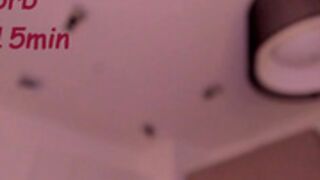 itsbellax - Deepthroating XXL black dildo