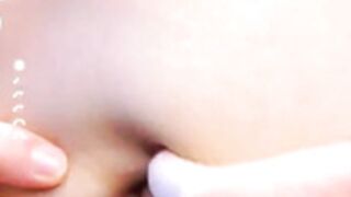 aquilaria taitehambelton 3