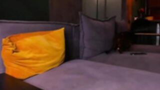 fluffy_angel rennatha21 donnamary 2