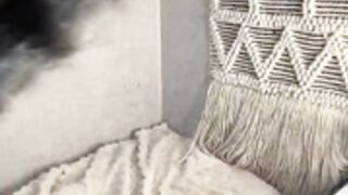 diana_alison grettabenett_ the_one_girl loveivyy sensua 5