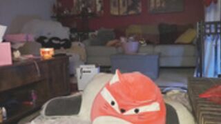 goldengoddessxxx 2024/12/27 3