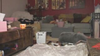 goldengoddessxxx 2024/12/27 2